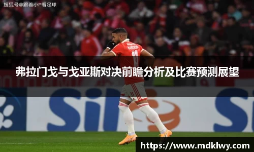弗拉门戈与戈亚斯对决前瞻分析及比赛预测展望